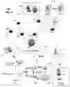 Fig. 05 - Method and apparatus for streaming video