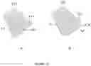 Fig. 12 - Prosthesis for hip replacement with polyethylene head and anti-rotational intra-prosthetic assembly