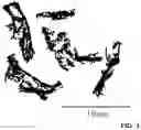 Fig. 04 - Method for producing microscale and/or nanoscale fiber material