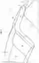 Fig. 07 - Damping device