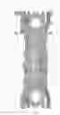 Fig. 02 - Port shapes for enhanced engine breathing