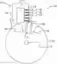 Fig. 01 - ENGINE PHASE DETERMINATION AND CONTROL