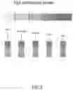 Fig. 03 - METHOD FOR DETERMINING THE ANTIOXIDANT CAPACITY OF A BIOLOGICAL SAMPLE AND RELATED KIT