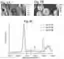 Fig. 07 - Method and apparatus of atomic force microscope based infrared spectroscopy with controlled probing depth