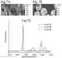 Fig. 08 - Method and apparatus of atomic force microscope based infrared spectroscopy with controlled probing depth