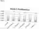 Fig. 13 - Mitochondrial Function using a Poly-Oxygenated Metal Hydroxide