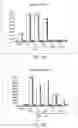 Fig. 02 - Combination Of The Application Of Antibodies For Immunostimulation Together With Glucocorticoids