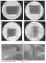 Fig. 02 - Anti-armyworm use of CRY1AB/CRY1ACZM gene