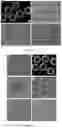 Fig. 05 - Method for preparing non-human primate somatic cell cloned animal