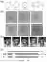 Fig. 09 - Method for preparing non-human primate somatic cell cloned animal