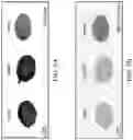 Fig. 08 - Multipurpose microfluidics devices for rapid on-site optical chemical analysis