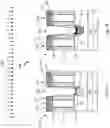 Fig. 08 - Selective epitaxy