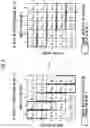 Fig. 07 - Oam multiplexing communication system and inter-mode interference elimination method