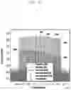 Fig. 23 - Electronic device including transceiver for calibrating I/Q imbalance in millimeter wave communication system and method of operating same