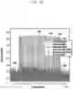 Fig. 24 - Electronic device including transceiver for calibrating I/Q imbalance in millimeter wave communication system and method of operating same