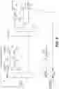 Fig. 06 - Signal amplifiers that switch to an attenuated or alternate communications path in response to a power interruption