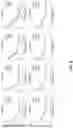Fig. 09 - Method and apparatus for brain function enhancement