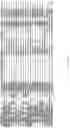 Fig. 09 - Nuclease systems for genetic engineering