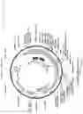 Fig. 29 - Nuclease systems for genetic engineering
