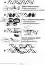 Fig. 31 - Nuclease systems for genetic engineering