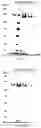 Fig. 33 - Nuclease systems for genetic engineering