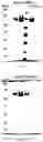 Fig. 34 - Nuclease systems for genetic engineering