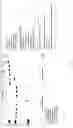 Fig. 38 - Nuclease systems for genetic engineering
