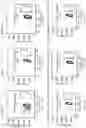 Fig. 46 - Nuclease systems for genetic engineering