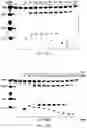 Fig. 51 - Nuclease systems for genetic engineering