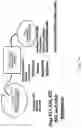 Fig. 59 - Nuclease systems for genetic engineering