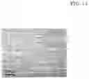 Fig. 20 - Magnesium alloy and method for manufacturing the same