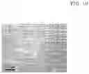 Fig. 24 - Magnesium alloy and method for manufacturing the same