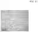 Fig. 32 - Magnesium alloy and method for manufacturing the same