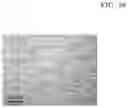 Fig. 44 - Magnesium alloy and method for manufacturing the same