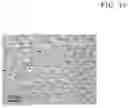 Fig. 48 - Magnesium alloy and method for manufacturing the same