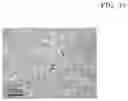 Fig. 52 - Magnesium alloy and method for manufacturing the same