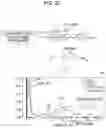 Fig. 21 - Network analysis program, network analysis device, and network analysis method