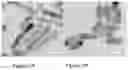 Fig. 02 - NANOPARTICLE ARCHITECTURES AND METHODS OF PREPARATION THEREOF