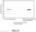 Fig. 36 - Implantable micro-biosensor and method for manufacturing the same