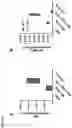 Fig. 07 - TICK VACCINE