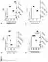 Fig. 08 - TICK VACCINE