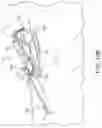 Fig. 19 - Fluidic Drivers, Devices, Methods, and Systems for Catheters and Other Uses
