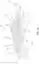 Fig. 10 - Vehicle floor mat with supports for irregular vehicle floor