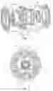 Fig. 02 - Torsional vibration damper