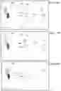 Fig. 12 - Vision correction system and method, light field display and light field shaping layer and alignment therefor