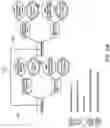 Fig. 17 - Itemization of rule branch condition expressions