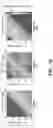 Fig. 05 - Deep neural network color space optimization
