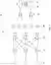 Fig. 02 - Iterative image reconstruction