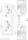 Fig. 04 - Packet correlator for a radio transmission system