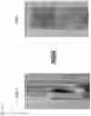 Fig. 15 - Ruminant compositions